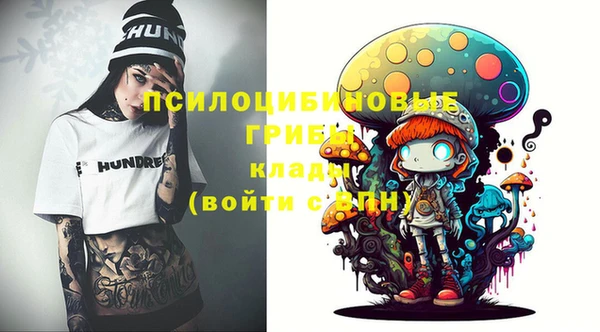 мдпв Ахтубинск
