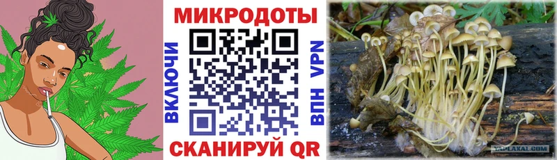 как найти закладки  Сельцо  Псилоцибиновые грибы Magic Shrooms 